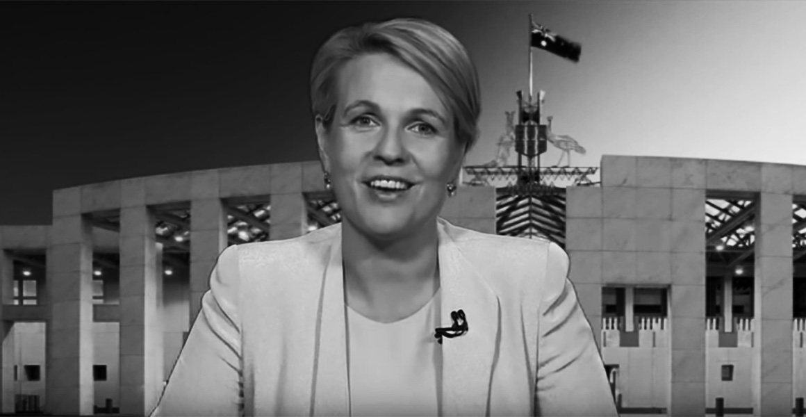 Tanya Plibersek In Support Of Fightback Fhs Feminist Collective